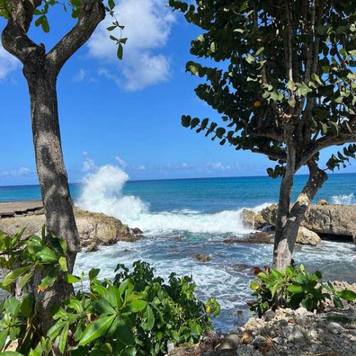 Anse Bertrand