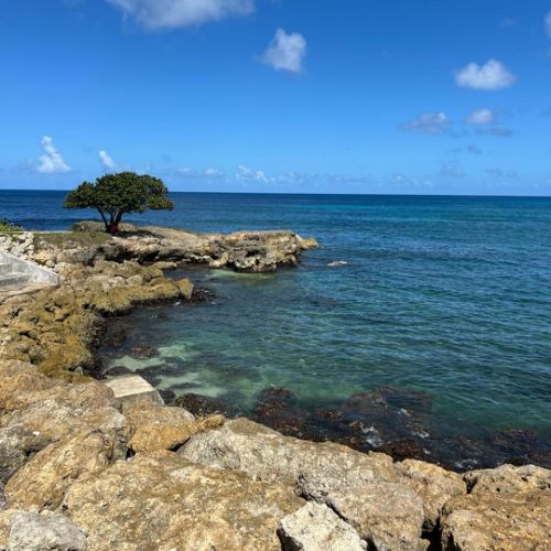 Anse Bertrand