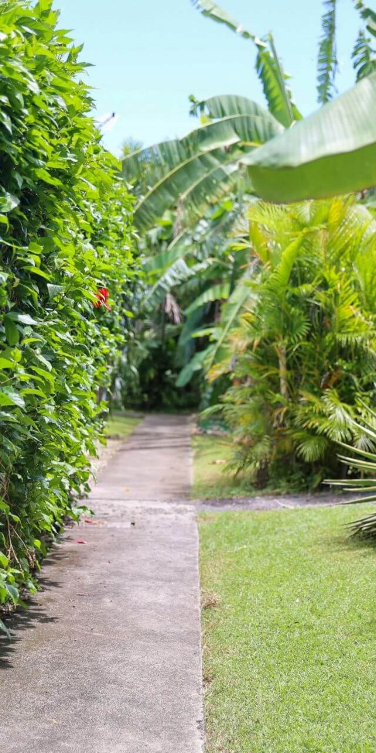 Parties communes Gite Ty Koko Guadeloupe Saint-François