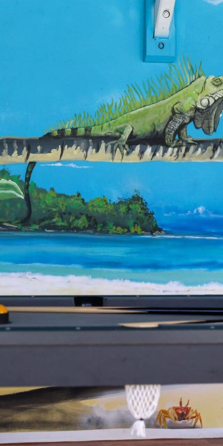 Parties communes Gite Ty Koko Guadeloupe Saint-François